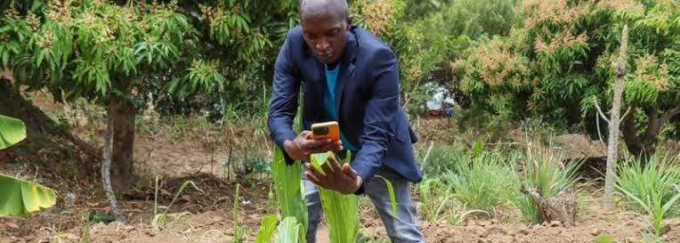 AI-Powered Verification