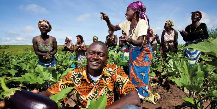 Image of a thriving community farm